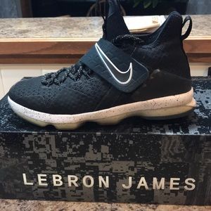 Lebron XIV Nike basketball shoes